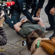 Prieš K. Škirpos lentos nuėmimą protestavusiems ir policijai pasipriešinusiems vyrams gresia baudos