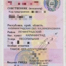 Į Baltarusiją važiavęs neblaivus rusas pateikė suklastotą vilkiko registracijos liudijimą
