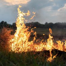 Charkivo srityje užgesintas didelis gaisras Iziumo miške