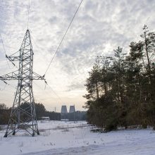 „Litgrid“: elektros kaina per savaitę Lietuvoje dar sumažėjo