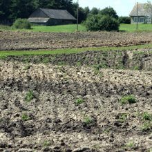 Ūkininkai ir ministerijos sutarė, kad žemės įsigijimas turi būti griežtinamas