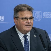 A. Skaisgirytė: prezidentas pritaria siūlymui L. Linkevičių skirti ambasadoriumi Švedijoje