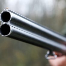Ignalinos rajone rasti du neregistruoti ginklai