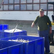 Žada priešintis žvejybos varžymui Baltijoje