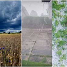 Kai kur Lietuvoje – stiprus lietus, kruša: kokių orų tikėtis šią savaitę?