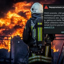 Vėl gaisras Kauno rajone: antrą kartą per pusantros paros degė tas pats medienos gaminių sandėlis 