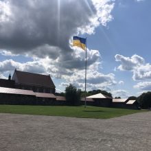 Kaunas jungiasi prie akcijos „Keliu vėliavą už Ukrainą NATO!“