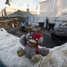 Euromaidane nukentėję asmenys bus vežami gydyti į Lietuvą