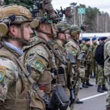 Baltijos šalys NATO viršūnių susitikime pristatys pajėgumų vystymo planą