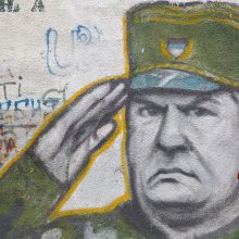 Bosnijos skerdiką siūloma įkalinti iki gyvos galvos