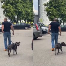 Po bandymo sudrausminti šuns savininką – grėsmingas jo atsakas
