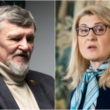 Seimo Etikos ir procedūrų komisijoje S. Jovaišą pakeis D. Asanavičiūtė