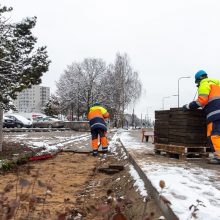 Žiema darbininkų namo nevaro: šiemet dar žadama nemažai ką nuveikti