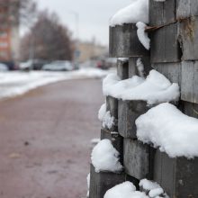 Žiema darbininkų namo nevaro: šiemet dar žadama nemažai ką nuveikti