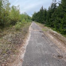 „YIT Lietuva“ rekonstruos pagrindinį Kuršių nerijos dviračių taką