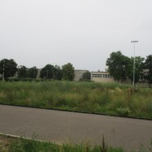 Pradėtas tvarkyti piktžolių lauku virtęs stadionas