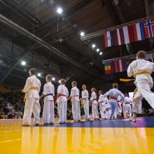 Kiokušin karatė čempionate – lietuvių pergalės