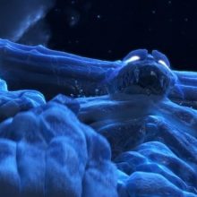 Animacinis filmas „Sniego karalienė 2“ pretenduoja į „Auksinį gaublį“