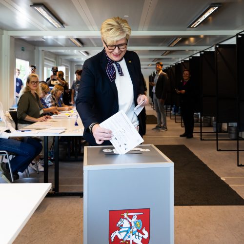 I. Šimonytė balsavo iš anksto antrame prezidento rinkimų ture  © G. Skaraitienės / BNS nuotr.