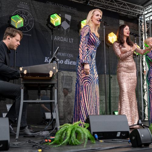 Pažaislio liepų alėjos vakarai | Gražiausios ABBA dainos  © Regimanto Zakšensko nuotr.