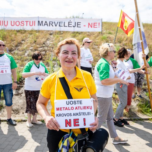 Protestas prieš Marvelės krovinių uosto plėtrą  © T. Biliūno / BNS nuotr.