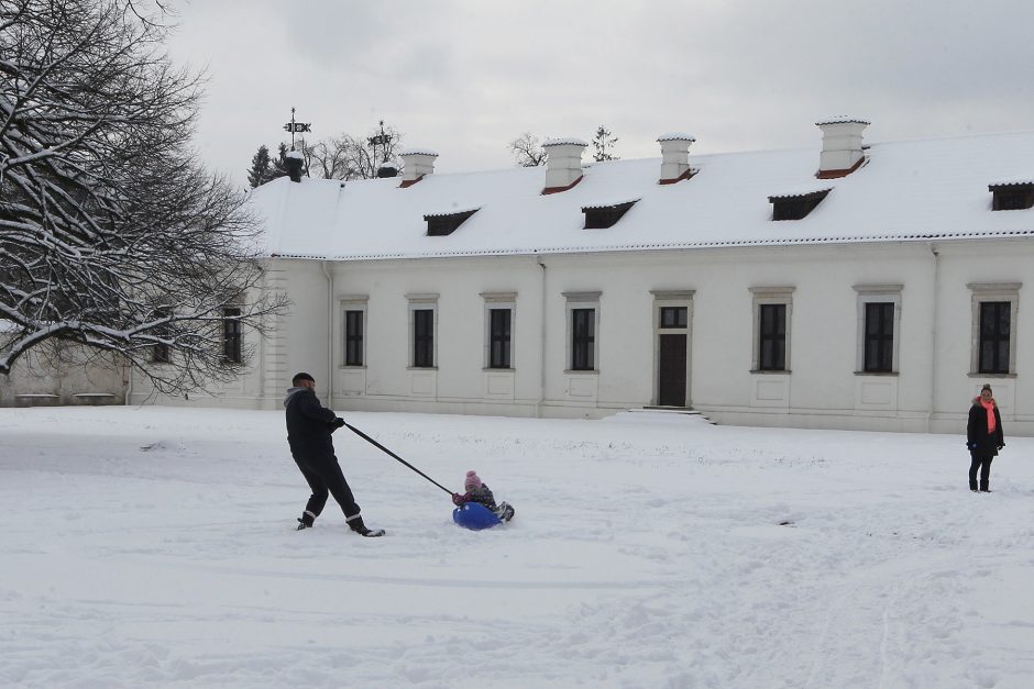 Sniego dienos pramogos į Pažaislį sukvietė būrį kauniečių