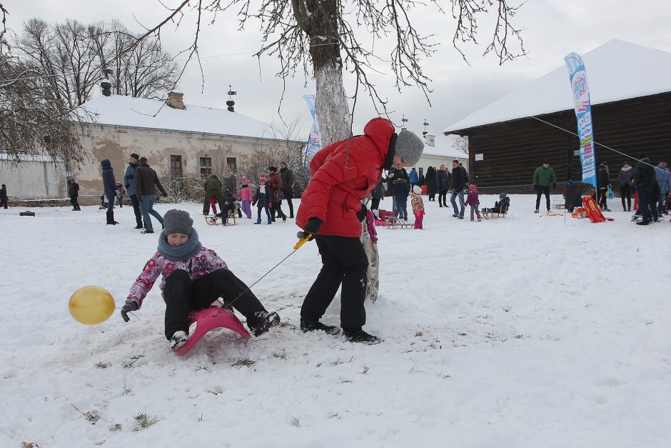 Sniego dienos pramogos į Pažaislį sukvietė būrį kauniečių