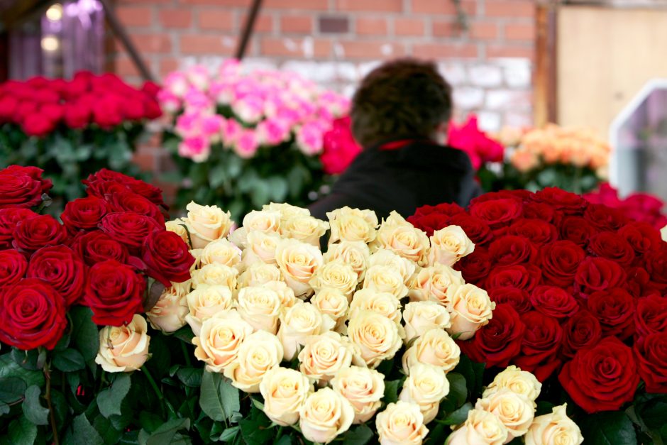 Panevėžyje pavogta 900 rožių ir 200 tulpių