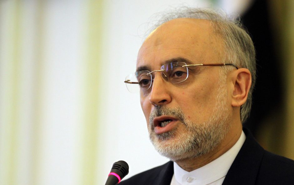 Irano branduolinės programos vadovu paskirtas pragmatiškasis A.A.Salehi