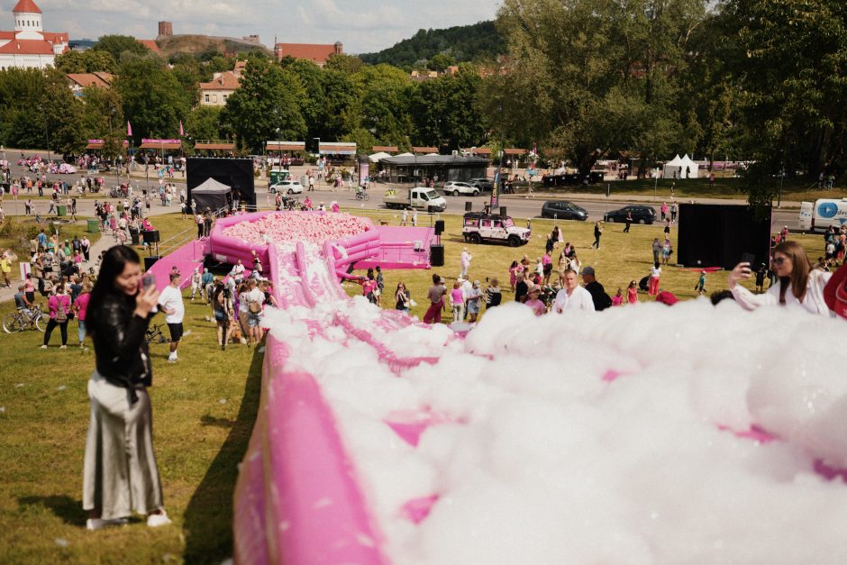 Šaltibarščių festivalis sostinę nudažė ryškiai rožine spalva: pasiekti net du unikalūs rekordai