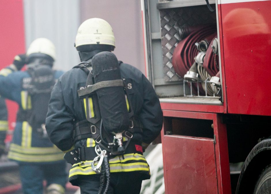 Vilniuje iš dūmų pilno buto ugniagesiai išgelbėjo žmogų su šunimi
