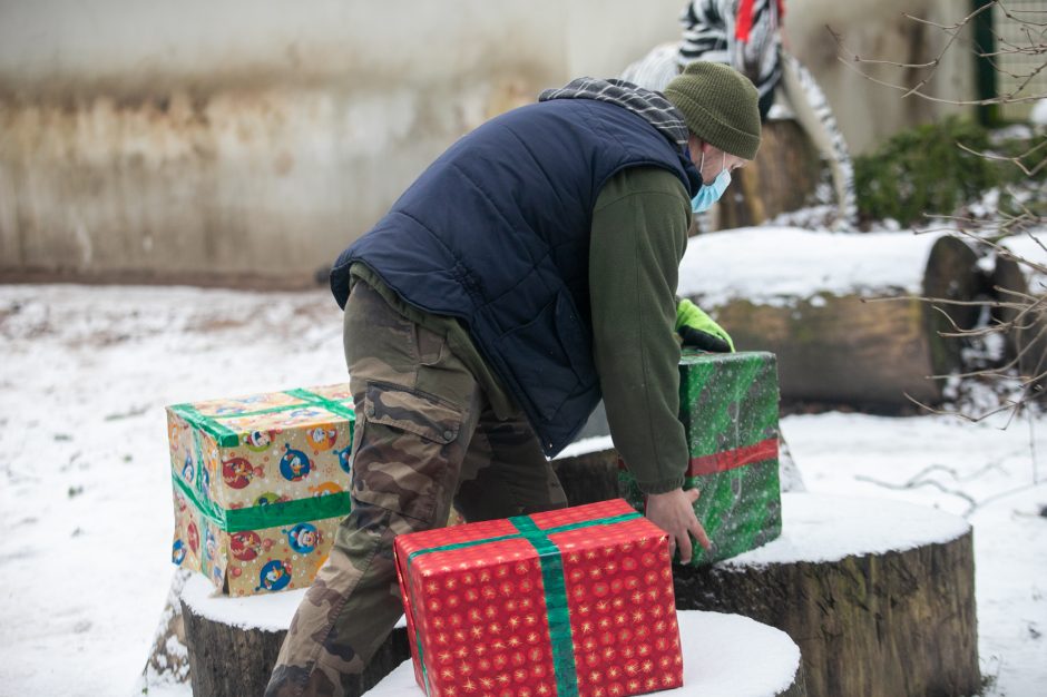 Kalėdinės dovanos pradžiugino Zoologijos sodo gyventojus (nuotraukų galerija)