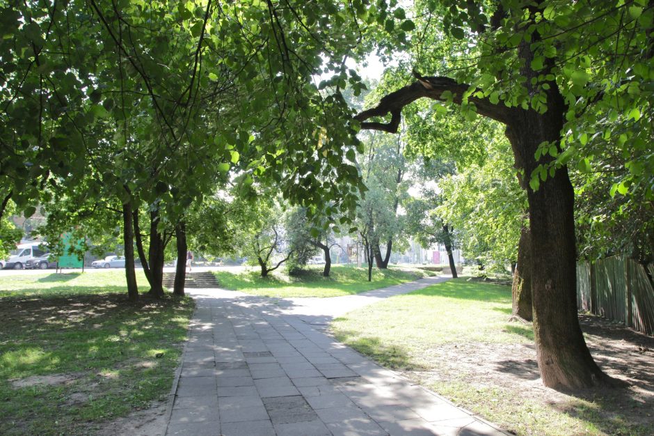 M. K. Čiurlionio gatvėje Naujamiestyje – nauja žalia erdvė