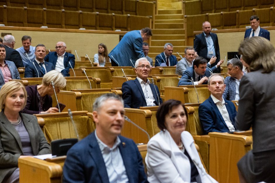 Seimo vadovė: dabar mėginti blokuoti parlamento darbą yra neatsakinga