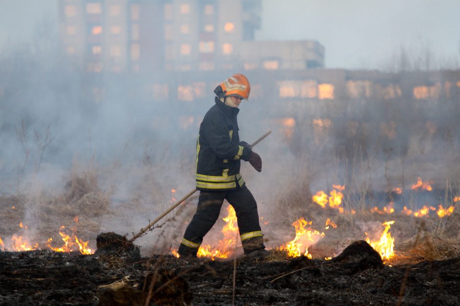 Lietuviai nebijo nei baudų, nei gaisrų: masiškai pleškina pernykštę žolę