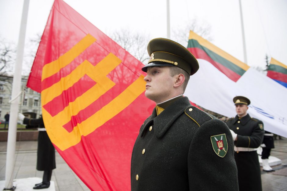 Lietuva pasitinka 100-metį su stipriausia kariuomene nuo jos atkūrimo