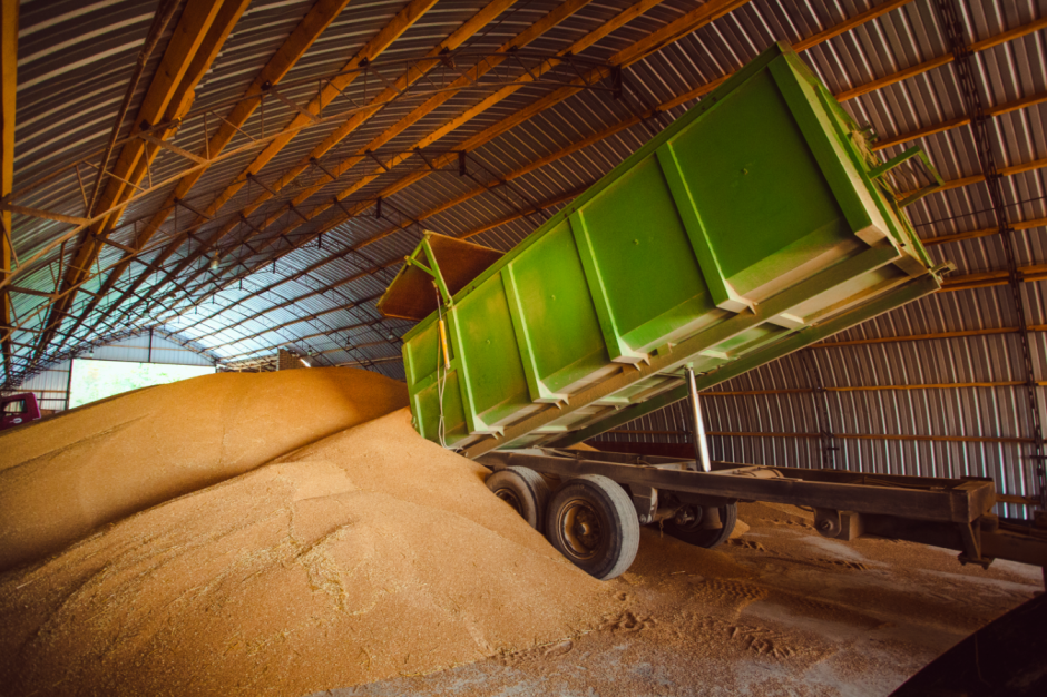 Lietuva vasarį eksportavo daugiau grūdų nei prieš metus