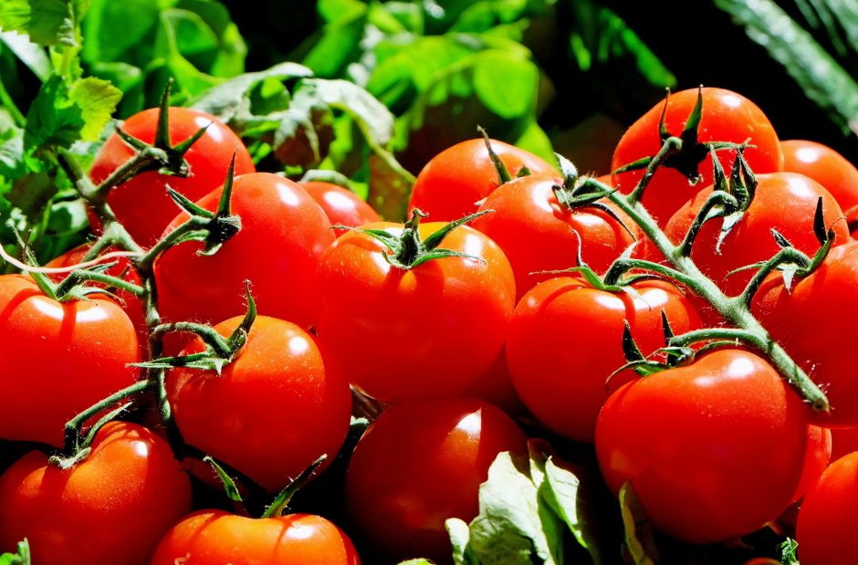 Pomidorų metas: keturi receptai pasimėgauti šiltnamio derliumi