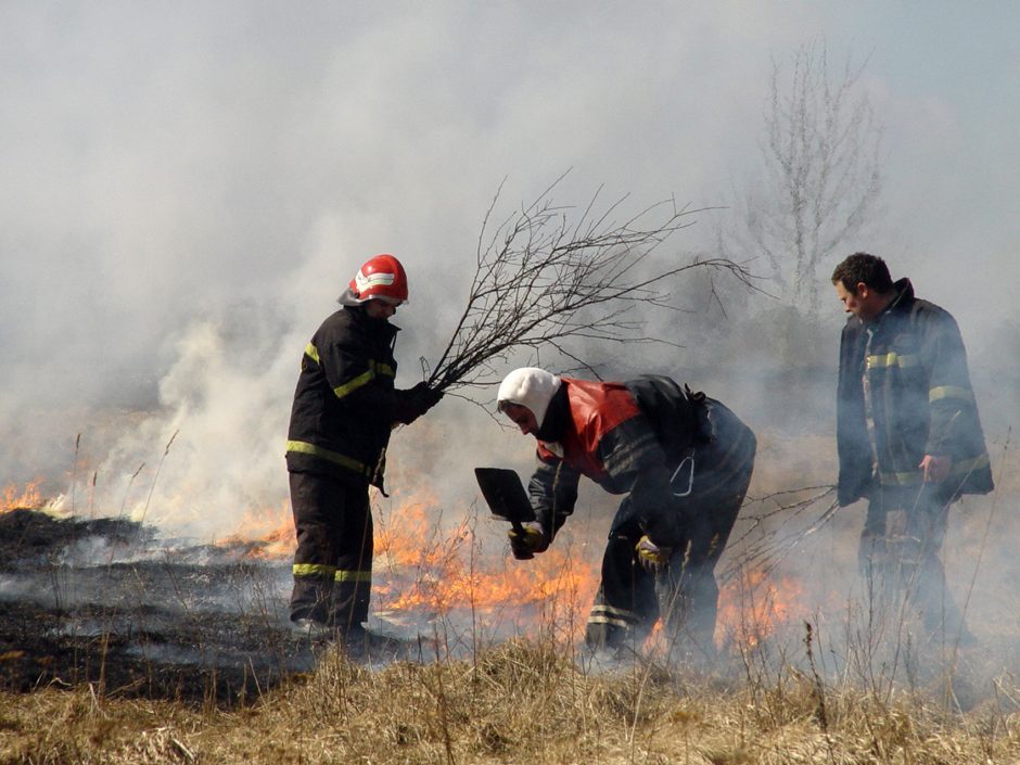 Pirmadienio gaisrai gamtoje: ugniagesiams padėjo kariuomenės šarvuotis, vienas žmogus apdegė ranką