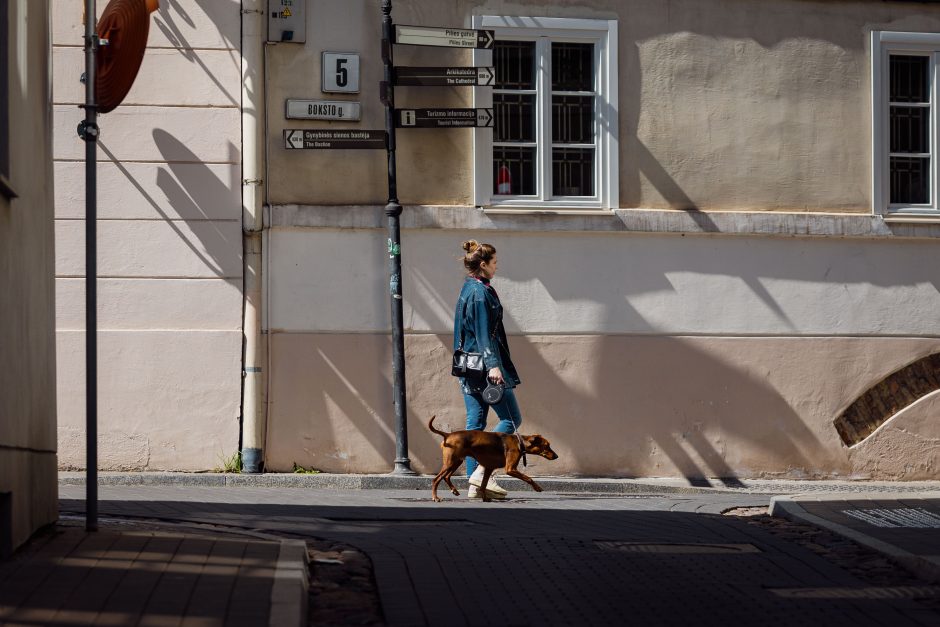 Vasariška šiluma Vilniuje