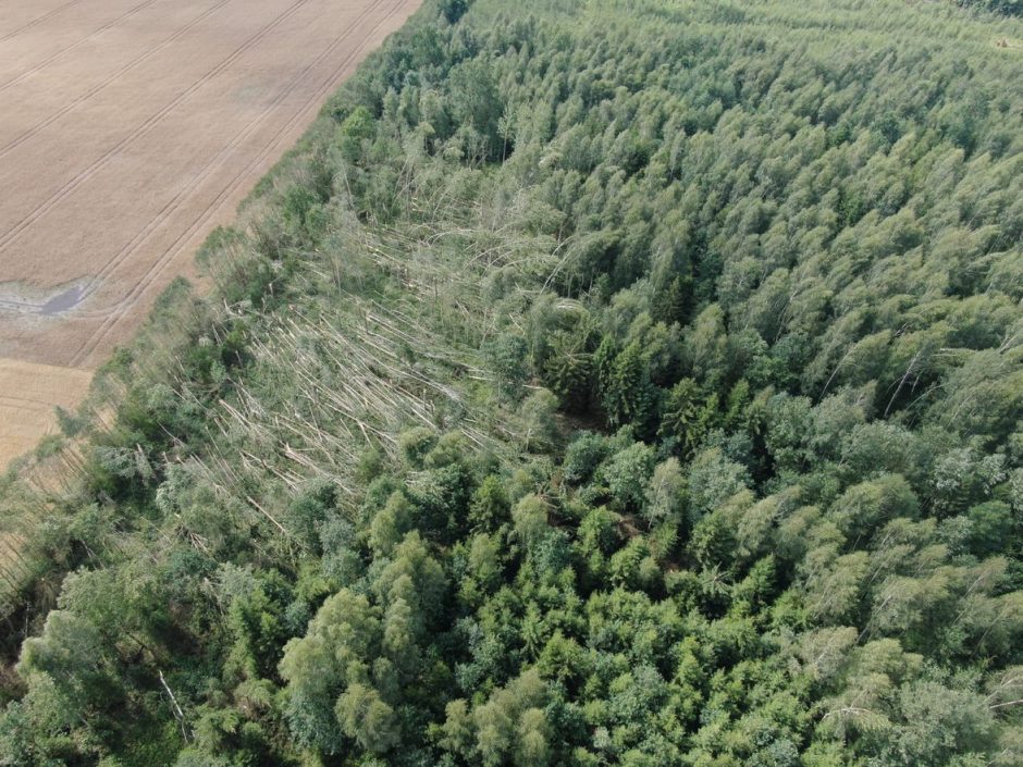 Audra prasiautė negailestingai: miškuose nuvertė per 50 tūkst. medžių
