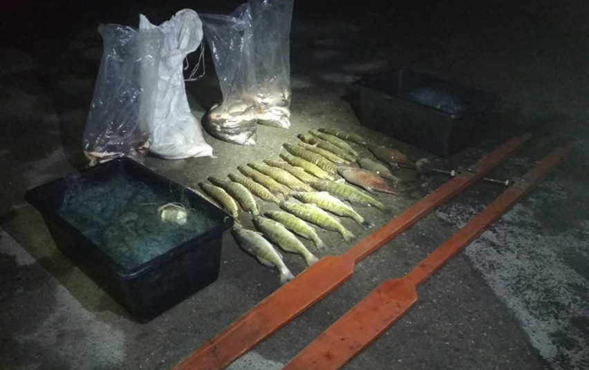 Sulaikyti Kretuono ežere brakonieriavę žvejai: teks atlyginti tūkstantinę žalą