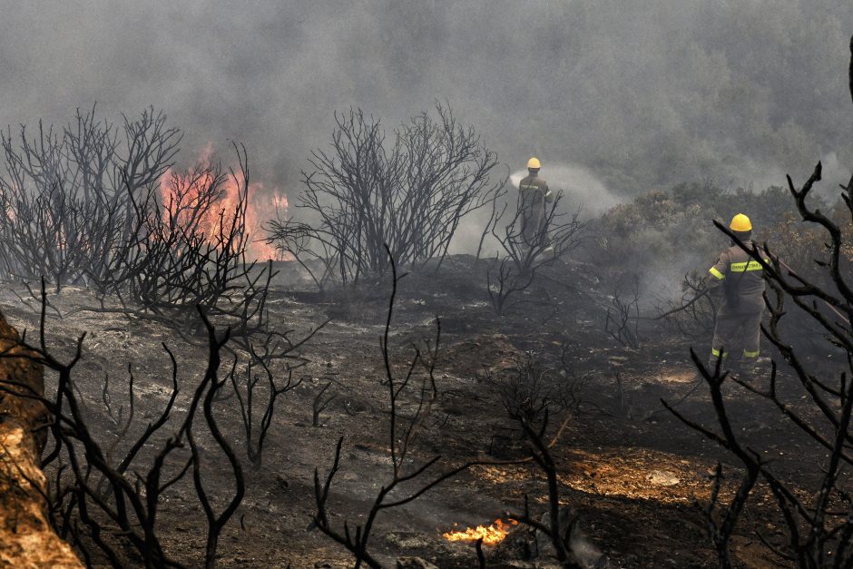 Graikų ugniagesiai ir pareigūnai perspėja dėl miško gaisro grėsmės gyvenvietėms prie Atėnų