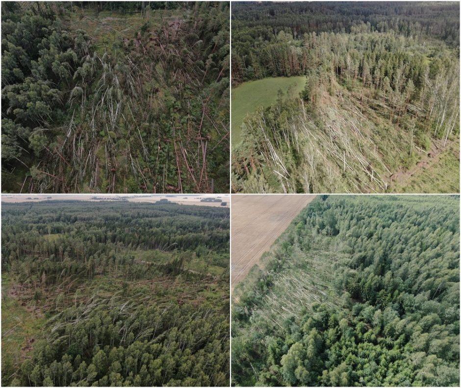 Audra prasiautė negailestingai: miškuose nuvertė per 50 tūkst. medžių