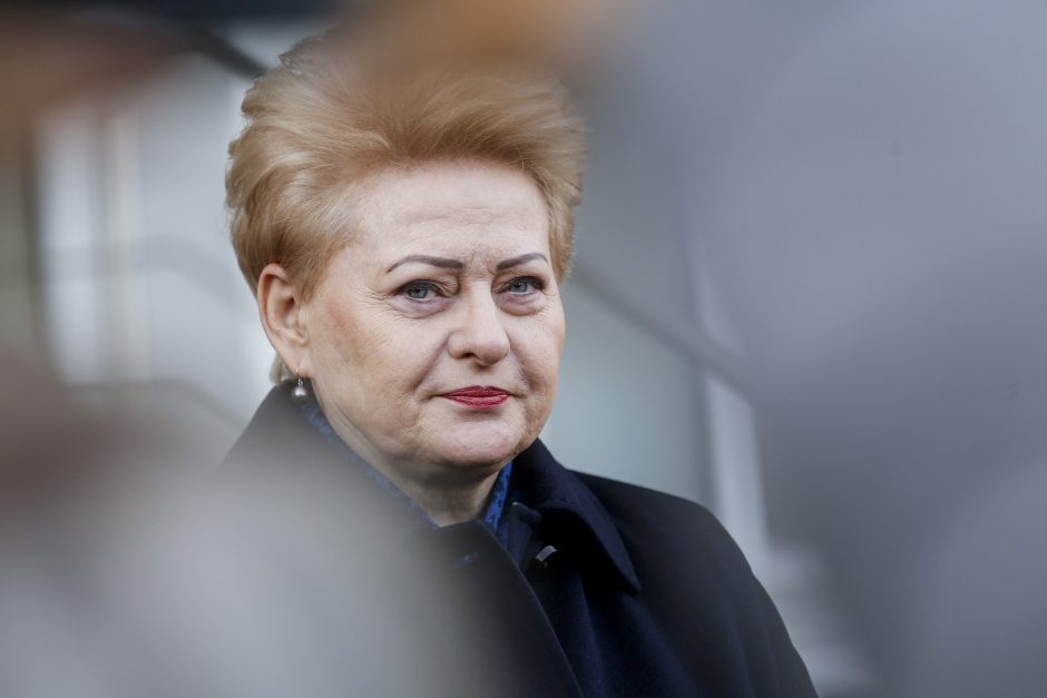 D. Grybauskaitė: Vakarams bus sunku greitai atsisakyti rusiškų dujų