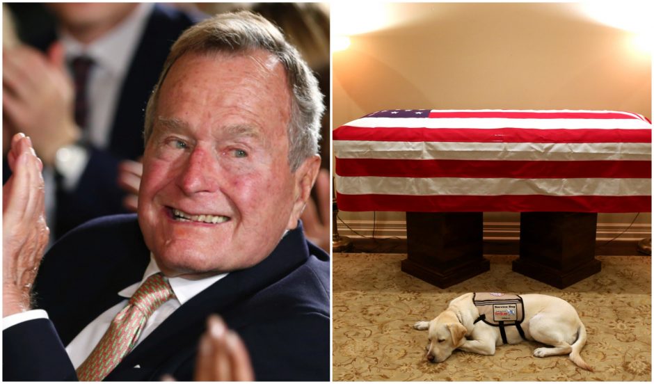Atsisveikinimas su anapilin iškeliavusiu Dž. H. W. Bušu: šuo budėjo prie karsto