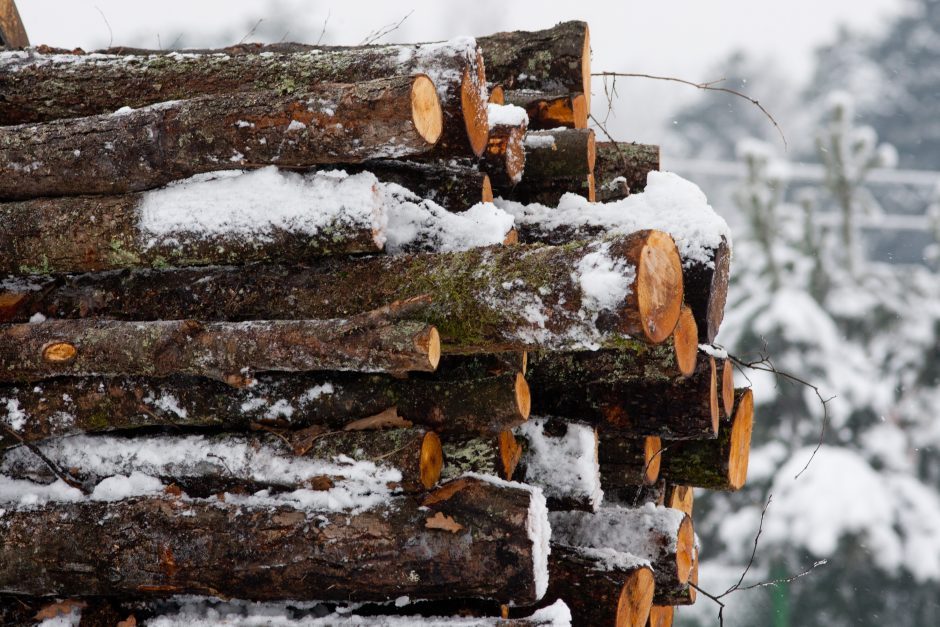 Rangovai atsisako Valstybinių miškų urėdijos siūlomų darbų, kol neperžiūrėtos sąlygos