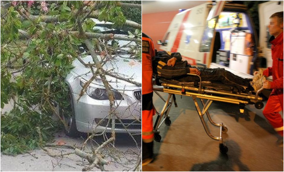 Nelaimė Varėnos rajone: ant kelio užvirto medis, sužalota BMW automobilio vairuotoja