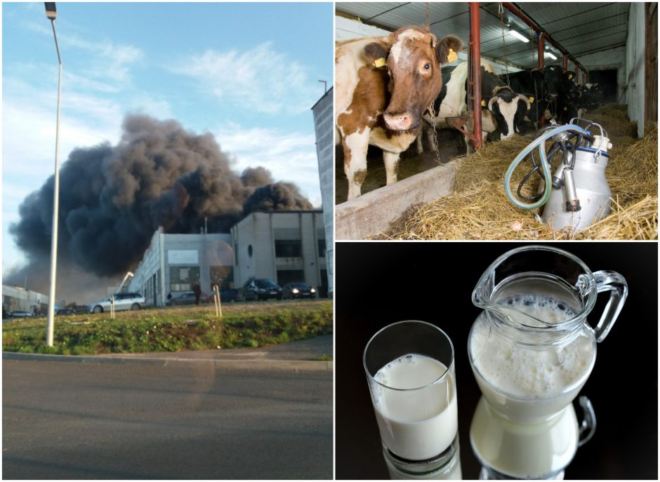 Žemės ūkio ministras: užterštas pienas iš Alytaus vežamas deginti