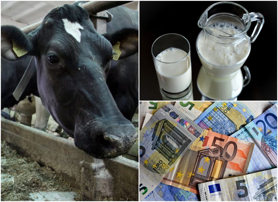 Pieno supirkimas: stambieji pieno ūkiai gauna europinę kainą